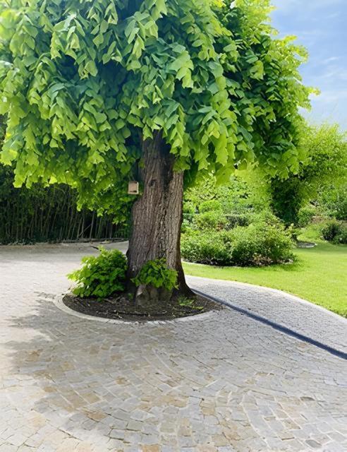 Domaine De Garat Bed & Breakfast Floirac  Exterior photo